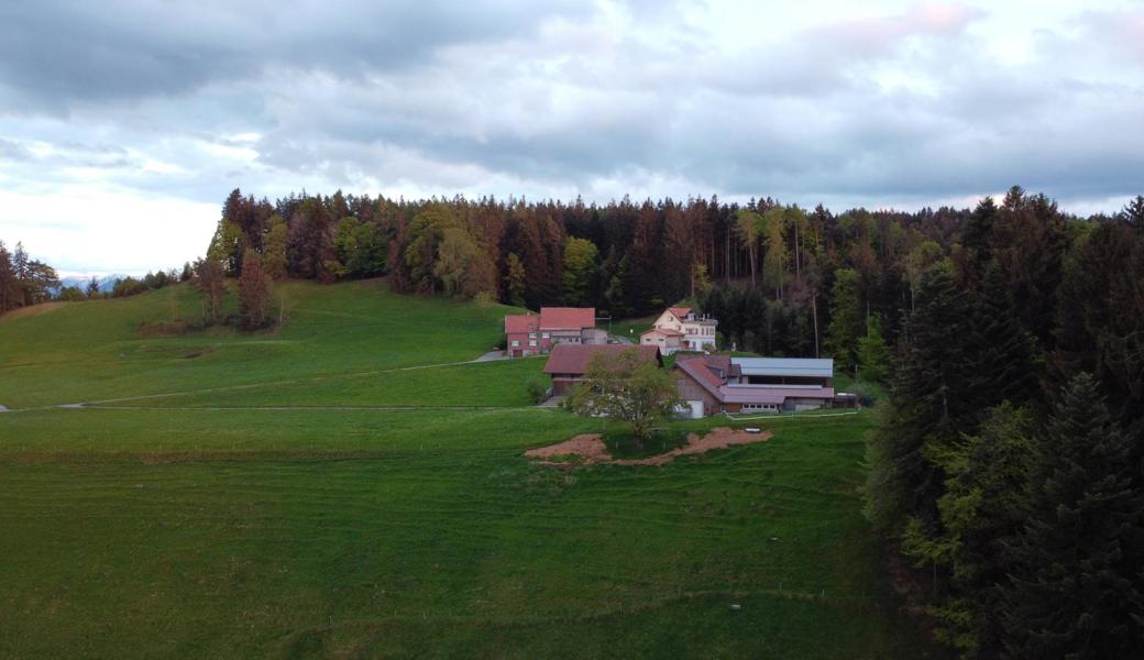 Unterhalb des Hofes, der sich beim Sportplatz Franzenweid in Walzenhausen befindet, weideten auch am Wochenende drei Ziegen. Eine davon fiel dem Wolf zum Opfer.