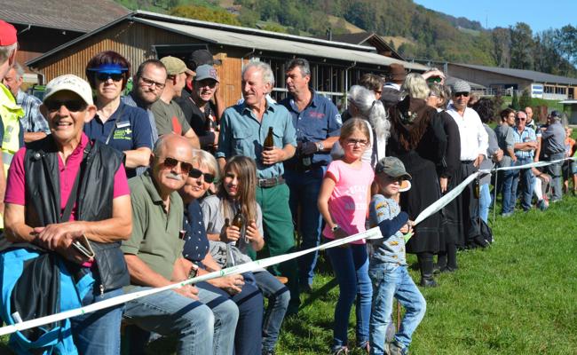 Grosse Show auf kleiner Achse