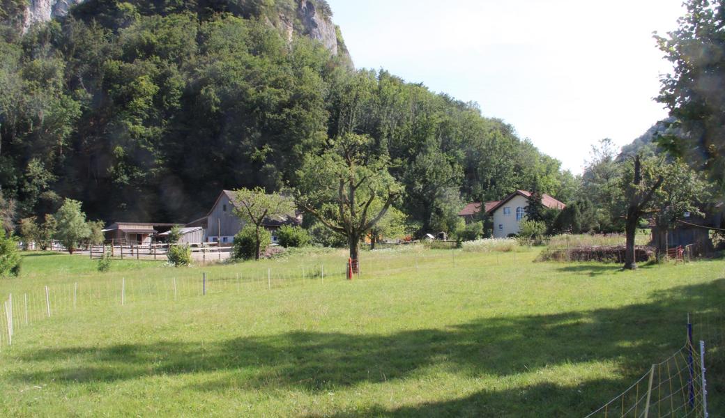 Oberriet(Z), Lienz (E), Lüchingen (M), Montlingen (A)