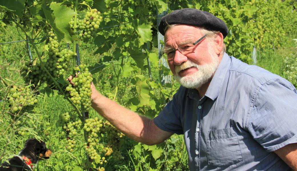 Felix Indermaur schrieb Erinnerungen aus seiner Jugendzeit im Weindorf Berneck nieder.