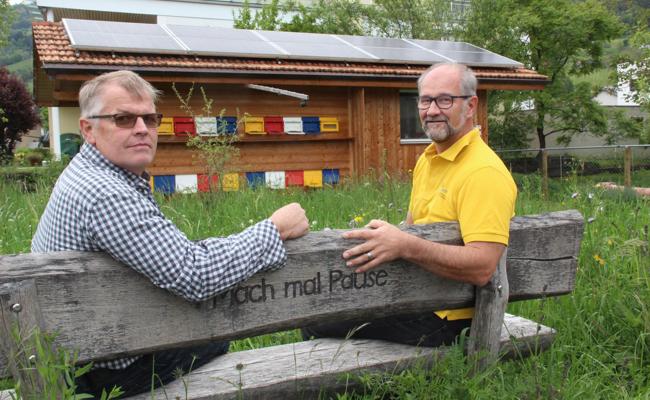 Wir brauchen die Bienen