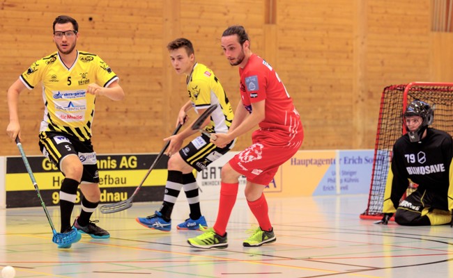 Rheintal Gators mit einem Heimspiel gegen den Tabellenletzten