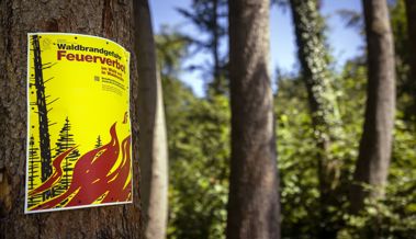 Feuerverbot in vier Gemeinden: Es herrscht erhebliche bis grosse Waldbrandgefahr
