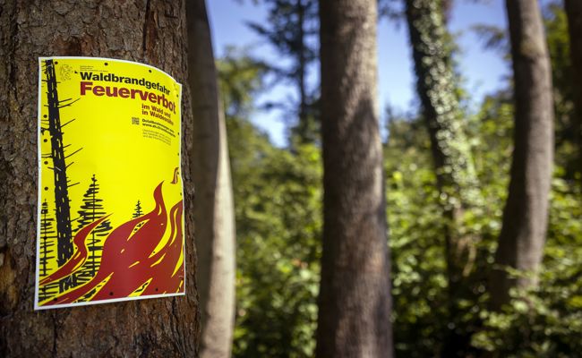 Feuerverbot in vier Gemeinden: Es herrscht erhebliche bis grosse Waldbrandgefahr
