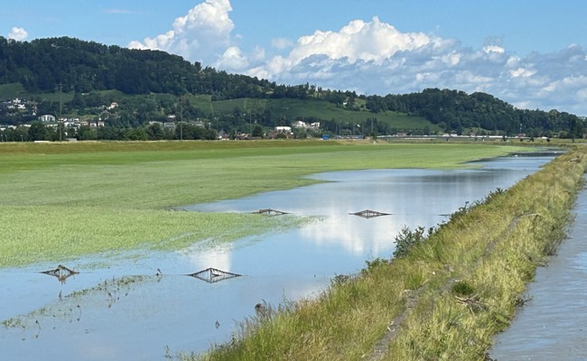 Eine seltene Erscheinung: Spitzen der Wiesenrainbrücke spiegeln sich im Rheinvorland