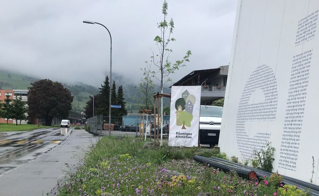 Der Verein Bäumiges Altstätten pflanzt Bäume im Industriegebiet und verfolgt weitere Projekte