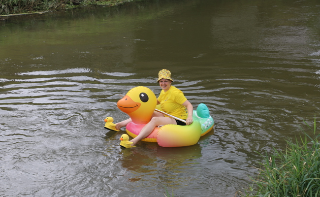 4230 Enten schwimmen den Binnenkanal hinunter