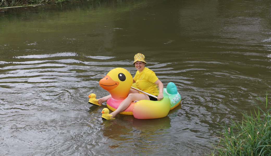 4230 Enten schwimmen den Binnenkanal hinunter