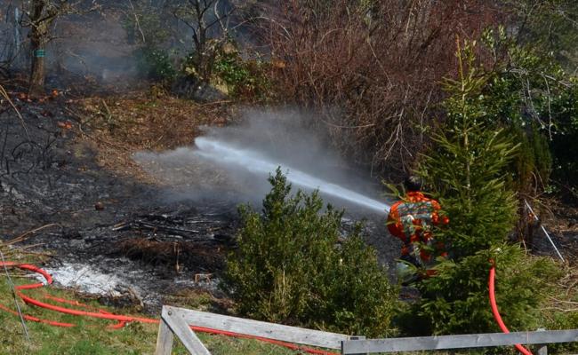 Feuer griff auf Waldrand über