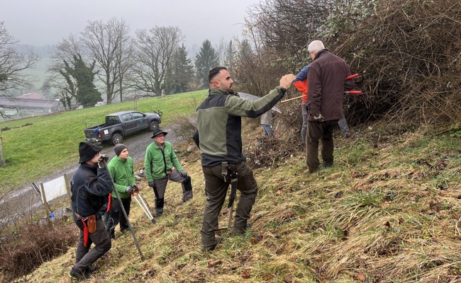 Motiviert am Wildsträucher-Schnittkurs teilgenommen