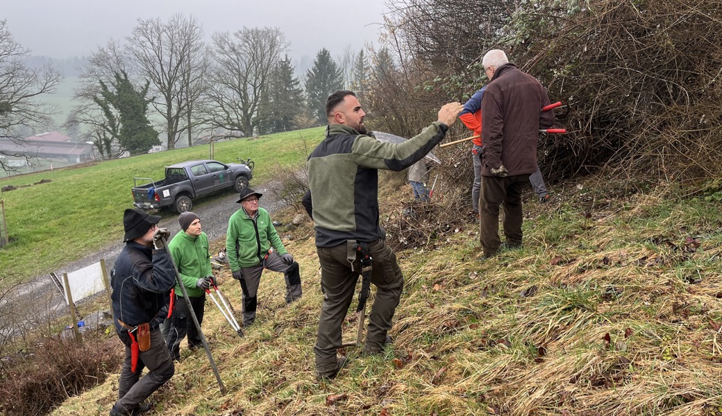 Trotz einiger Regentropfen wurde am Pro Riet-Kurs fleissig geschnitten und gesägt.