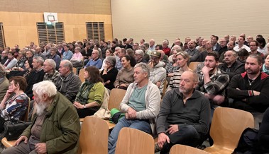 Diepoldsauer Ortsplanung: «Die gewünschte neue Arbeitszone ist doch viel zu klein»