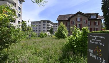 Zwischennutzung: Flüchtende zügeln ins Blumenfeld