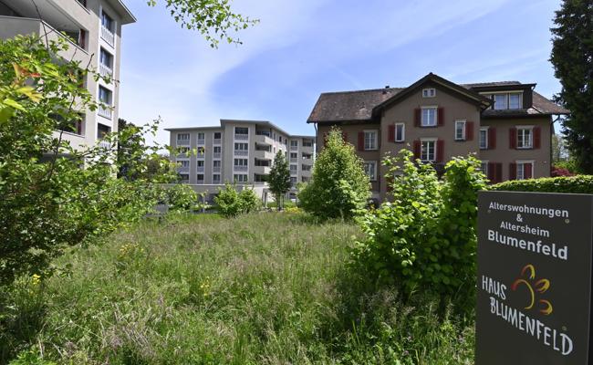 Zwischennutzung: Flüchtende zügeln ins Blumenfeld