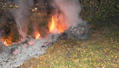 Büsche sind in Brand geraten