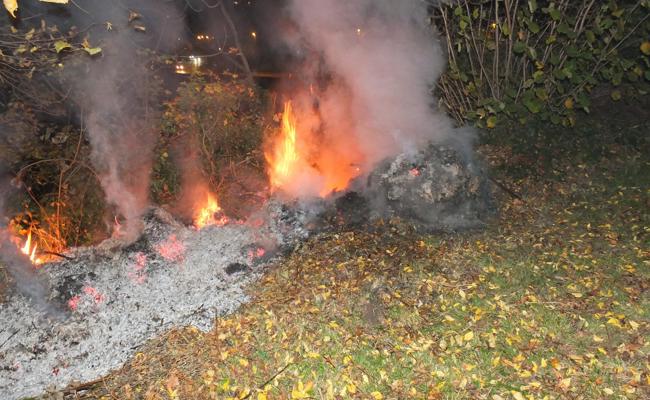Büsche sind in Brand geraten