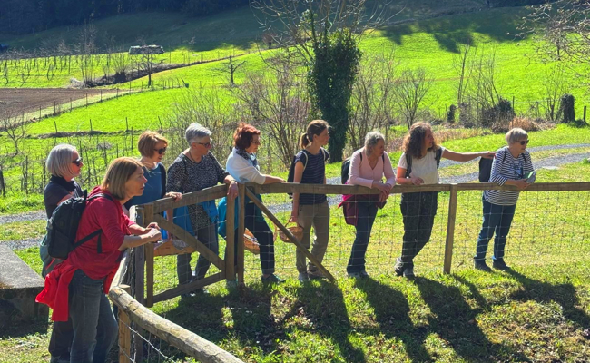 Kräutermorgen: Frauenverein verfolgt den Weg von der Wiese auf den Teller