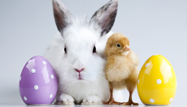 Schoggi-Reflektion: Vom Osterbrauch und Tomatenschlacht im Städtli