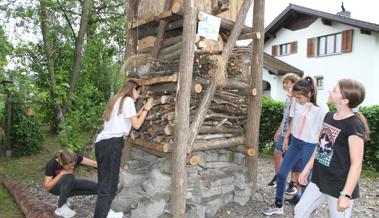 «Wir arbeiteten für die Marienkäfer»