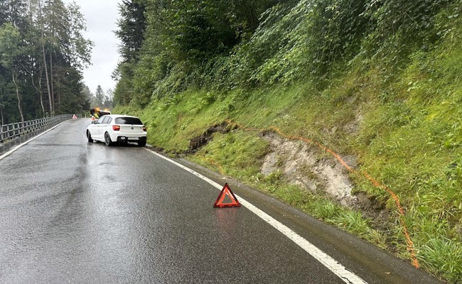 Alkoholisiert am Steuer: Fahrer kommt von der Strasse ab und fährt ins Wiesenbord