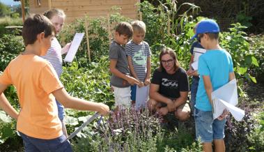 Mehr Natur und Umwelt in der Schule