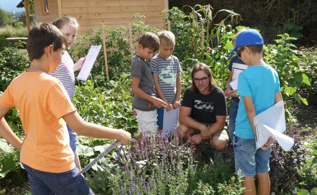 Mehr Natur und Umwelt in der Schule