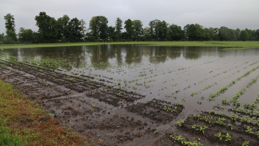 Der starke Regen setzt Felder unter Wasser und lässt Flüsse anschwellen Der starke Regen setzt Felder unter Wasser und lässt Flüsse anschwellen
