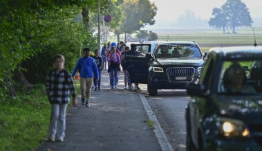Chauffieren statt laufen: Elterliche Fürsorge wird zur Gefahr für Kinder Chauffieren statt laufen: Elterliche Fürsorge wird zur Gefahr für Kinder