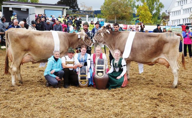 100-Jahr-Jubiläumsviehschau in Heiden