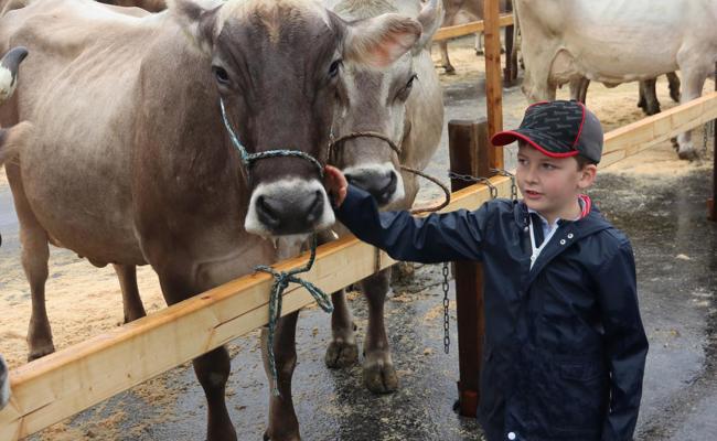Erstmals zwei Missen gekürt