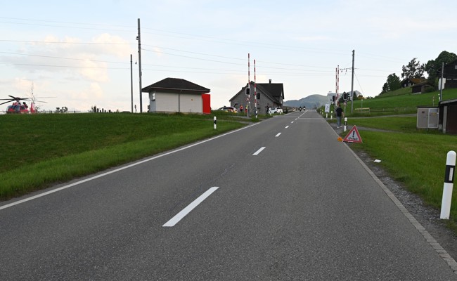 Motorradfahrer verunfallt wegen Insekt unter dem Helm