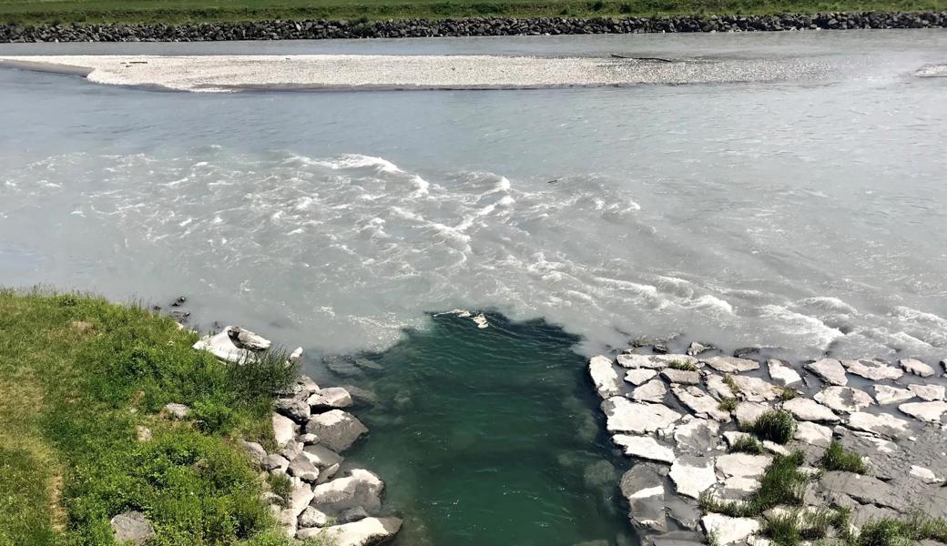 Der Binnenkanal bringt klares Wasser in den trüben Rhein.