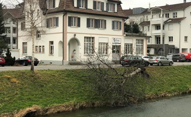 Sturm entwurzelt Baum