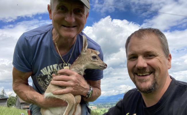 Hirschkalb Vaiana ist zwei Wochen alt