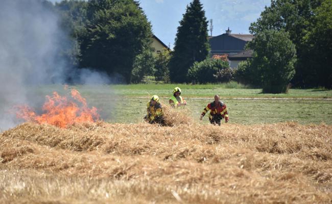 Vermutlich wegen einer Zigarette: In Balgach brannte ein Feld