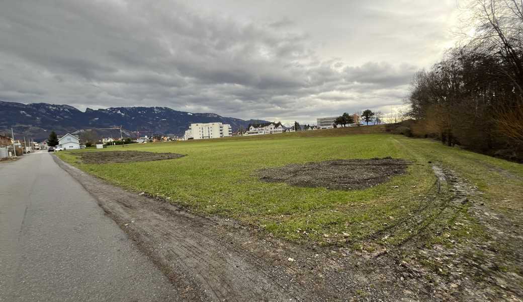 In unmittelbarer Nähe des Gewerbe- und Industriegebiets Güter-Wildenau liegt dieses Falbenau-Grundstück, das die Ortsbildungskommission gern in eine Arbeitszone umgewandelt sähe. Falls es klappt, dürften die knapp zwei Hektaren ausschliesslich zur Deckung des lokalen Bedarfs dienen. Im Hintergrund (Bildmitte) ist das Restaurant Schiffli zu sehen; hinter den Bäumen rechts befindet sich die Rheinbrücke. 