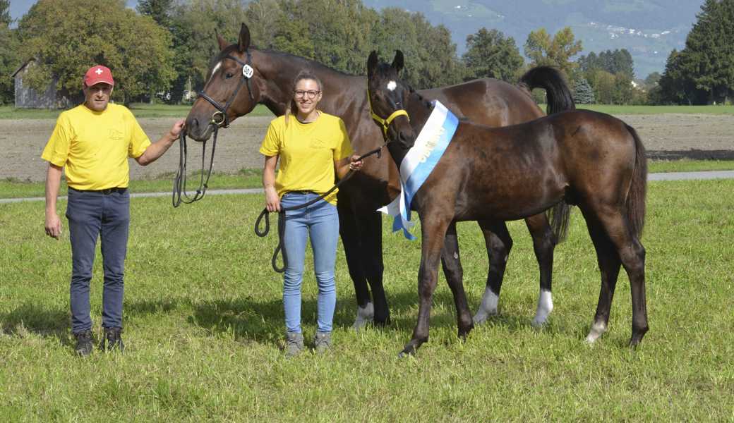 Warmblut Hengste: Peter und Jasmin Thurnheer mit ihrem Fohlen Clooney vom Storchenhof, welches bei den Warmblut Hengstfohlen siegte.t 