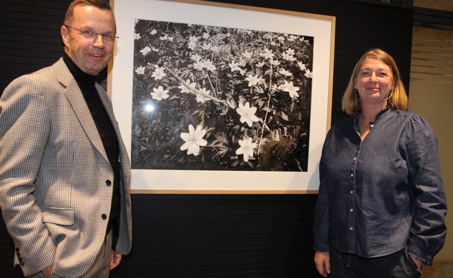 Kunst in der Bank: Michaela Ortner-Moosbrugger zeigt detailreiche Tuschebilder