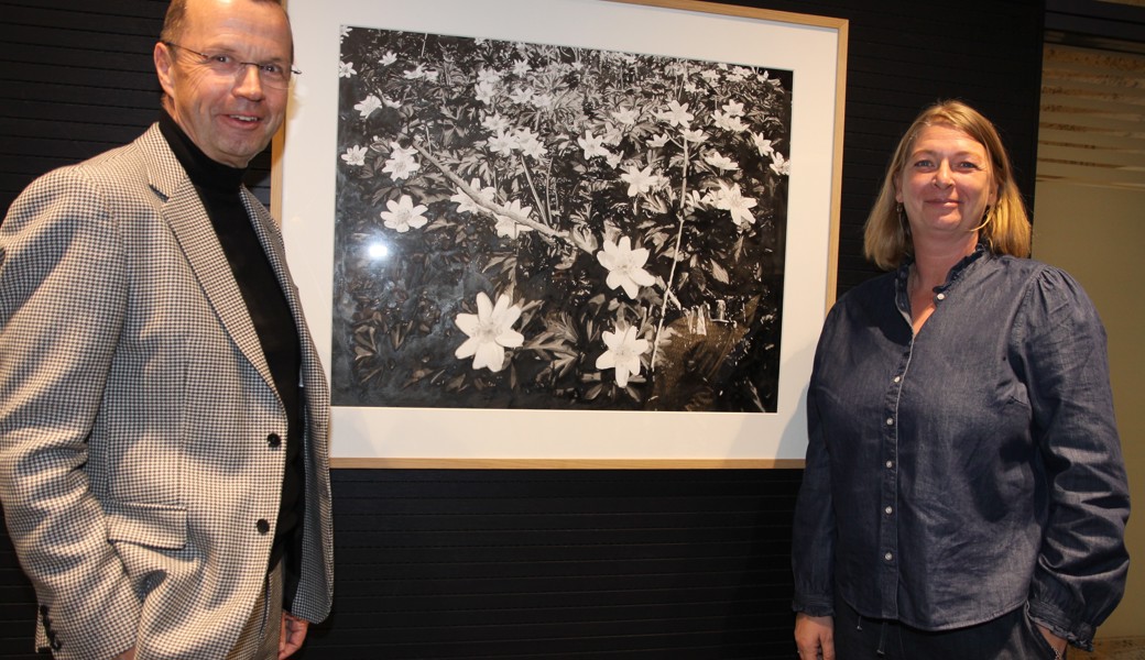 Kunst in der Bank: Michaela Ortner-Moosbrugger zeigt detailreiche Tuschebilder