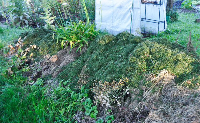 Eine Bodenanalyse ist der erste Schritt zu einem gesunden Gemüseanbau