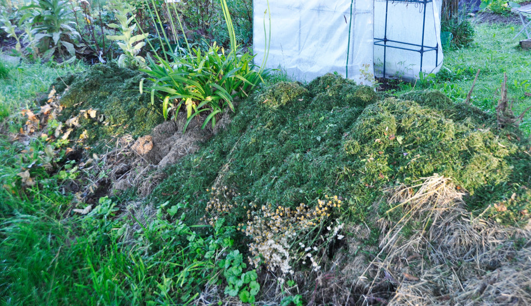 Eine Bodenanalyse ist der erste Schritt zu einem gesunden Gemüseanbau