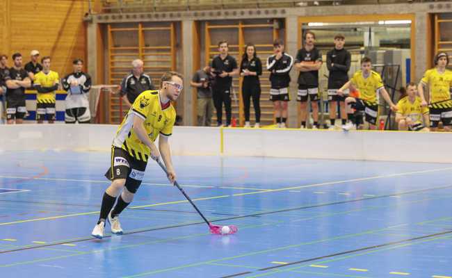 Playoff-Kracher: Schaffen die Rheintal Gators im Halbfinal die Sensation gegen Bülach?