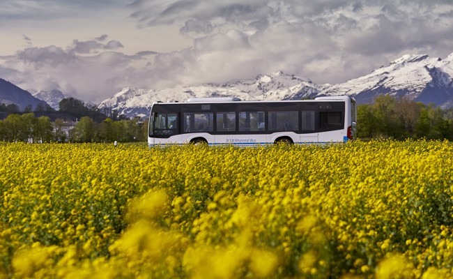 Klappt es beim dritten Anlauf? Neue Busverbindung zwischen Kriessern und Widnau geplant