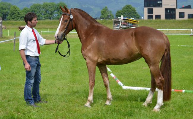 Verschiedene Disziplinen