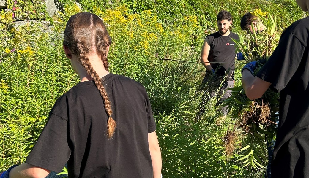 Lernende der Plaston AG bei der Bekämpfung von Neophyten
