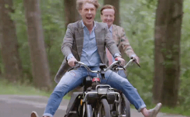 Kühe, Livemusik und röhrende Motoren - das läuft am Wochenende