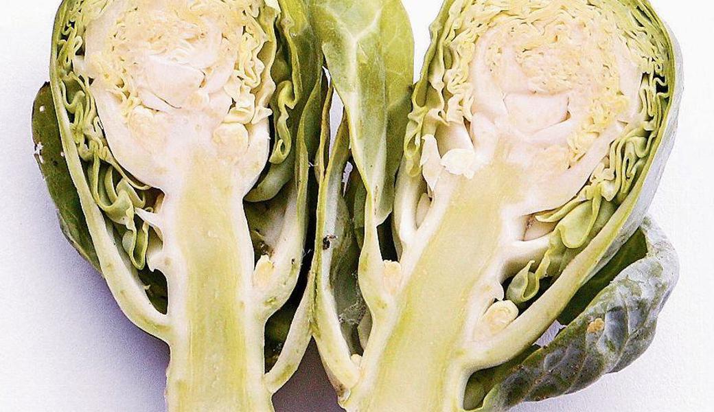Es braucht keinen Frost, kältere Temperaturen reichen aus, um Rosenkohl süsslich schmecken zu lassen.
