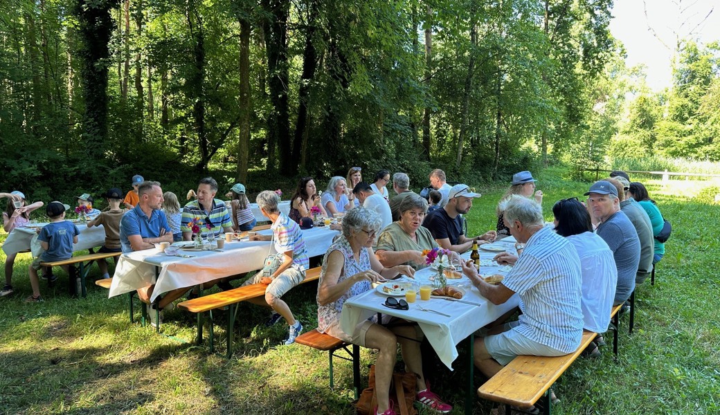 FDP im Schatten
