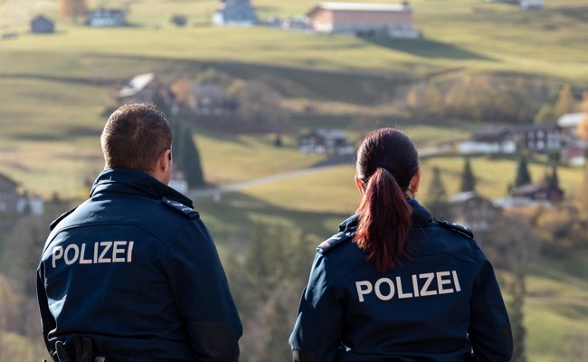Flumserberg: Kühe verletzten Wanderer, Rega flog ihn ins Spital