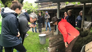 Grüngut weiterverarbeiten: Reifer Kompost riecht nach Waldboden